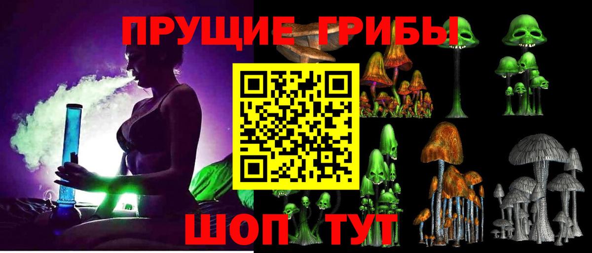 дарнет шоп  Вход с VPN  Нижнеудинск  Галлюциногенные грибы мухоморы 
